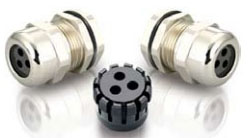 Multi-Hole Insert Brass Cable Glands (3 Holes)