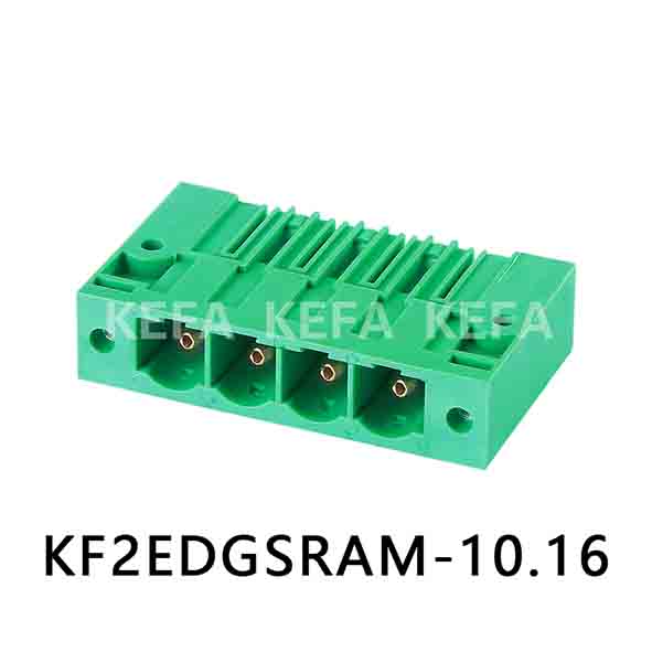 KF2EDGSRAM-10.16 