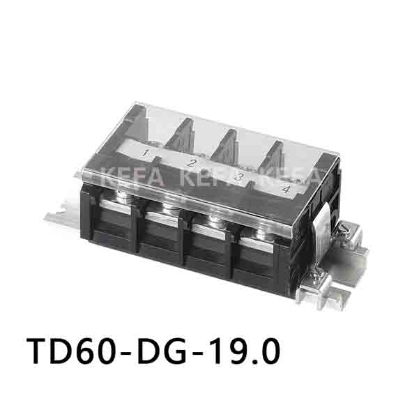 TD60-DG-19.0 