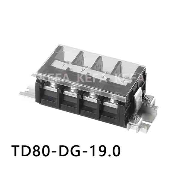 TD80-DG-19.0 