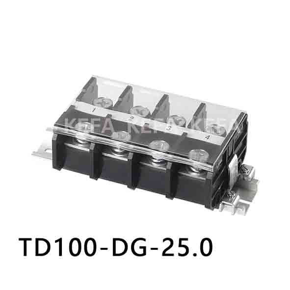 TD100-DG-25.0 
